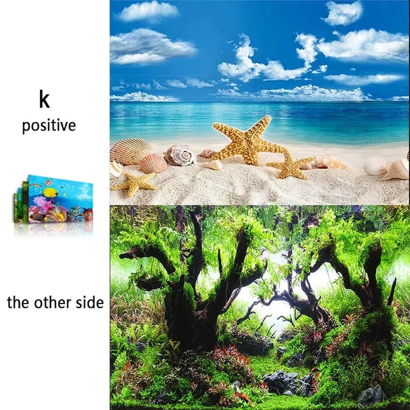 3D Meriteema Akvaarion Taustakuva 4