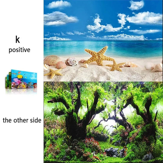 3D Meriteema Akvaarion Taustakuva 4