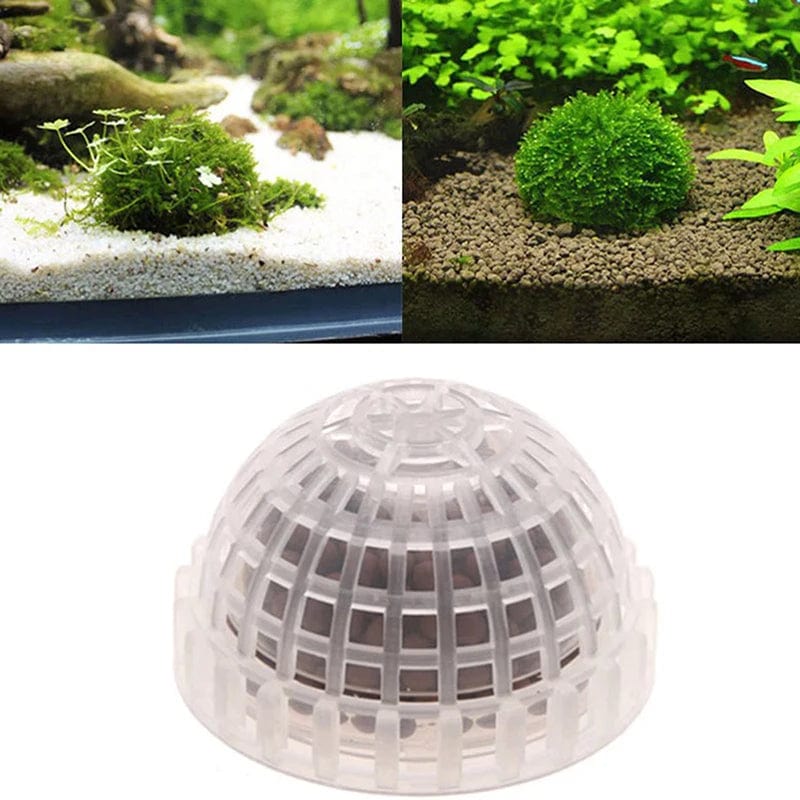 Akvaario Koriste Moss Ball Elävät Kasvit 0