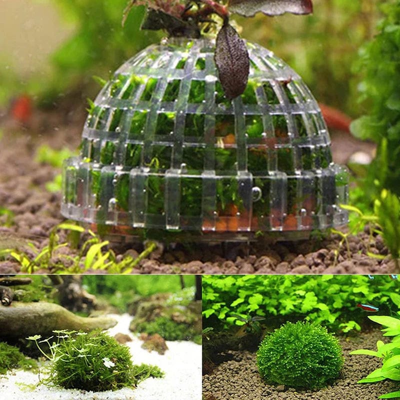 Akvaario Koriste Moss Ball Elävät Kasvit 2