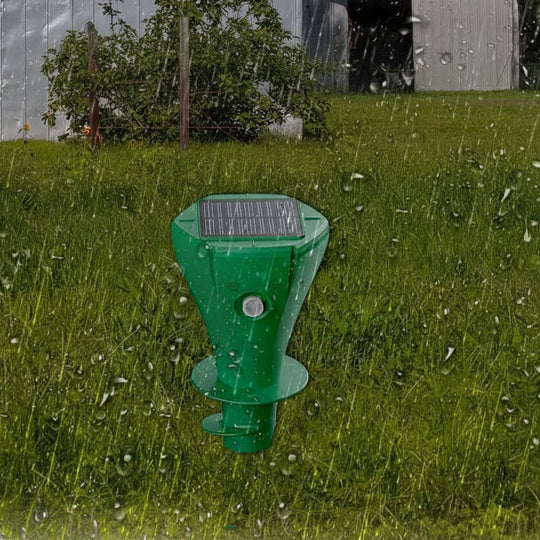 Aurinkoinen Myyräkarkotin Tehokkaalla Tärinällä 5