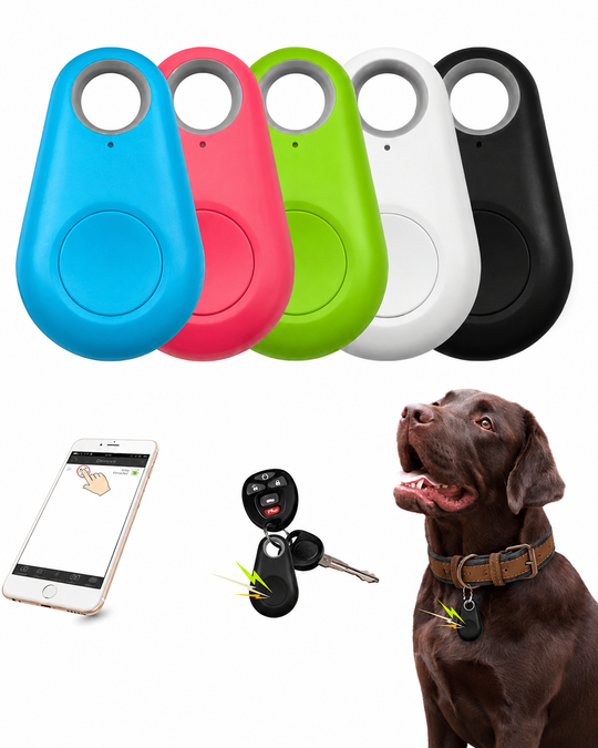 Kompakti GPS-seurantalaite Lemmikeille Reaaliaikaisella Seurannalla
