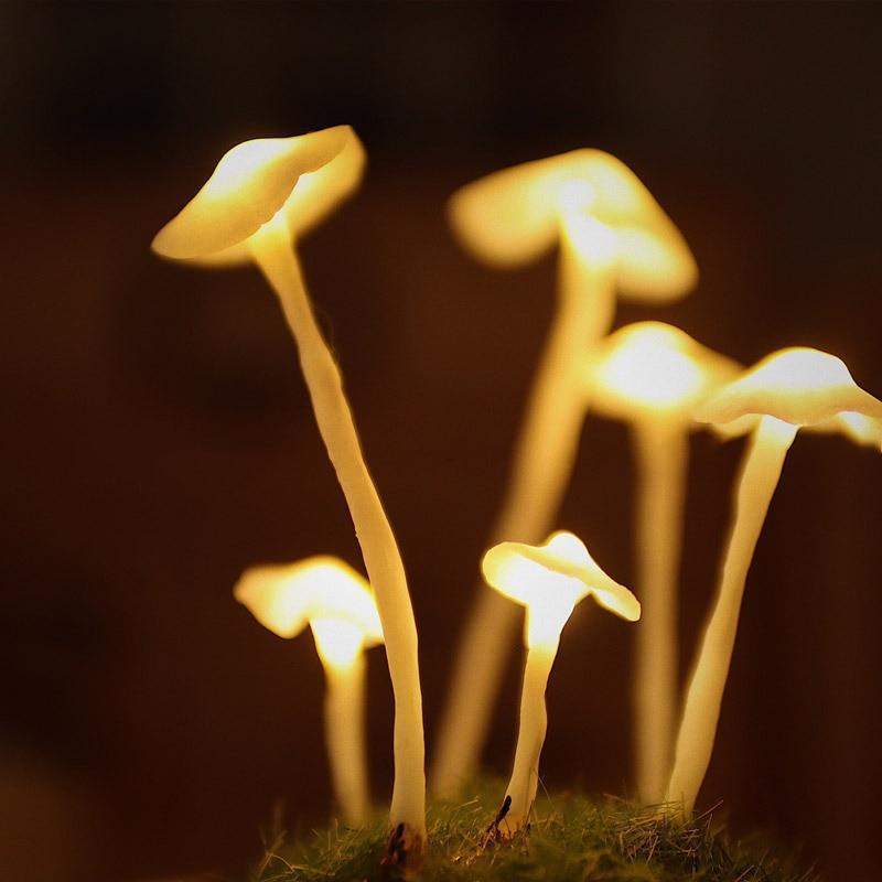 DIY LED Pöytälamppu Sieni Muotoilu Luovuus Valaistus 6