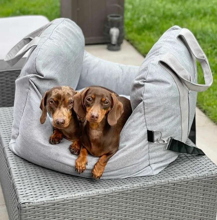 Dog Car Seat Bed with Safety Belt 8
