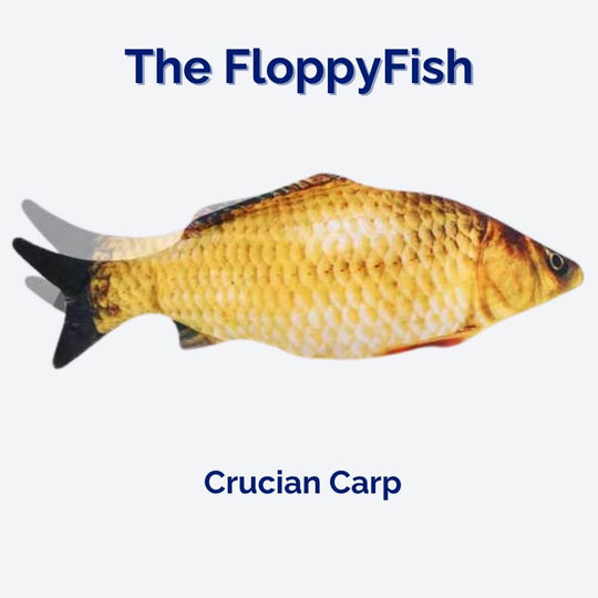 Interaktiivinen Koiranlelu FloppyFish 3