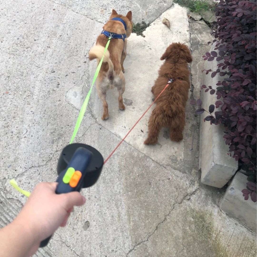 Kaksinkertainen Koiran Talutushihna Taskulampulla 5