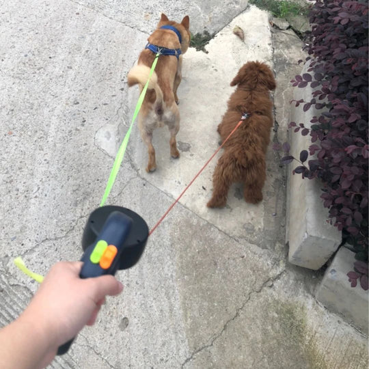 Kaksinkertainen Koiran Talutushihna Taskulampulla 5