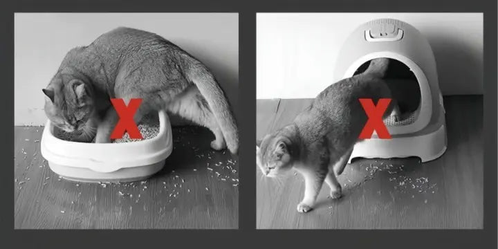 Kissanhiekkamatto Suuri Liukumaton 3