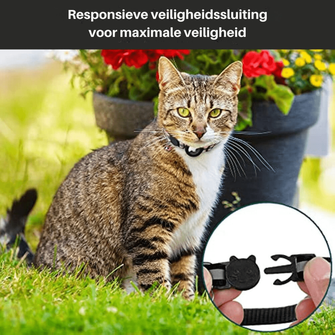 Kissojen GPS-seurantapanta CATSAFE TRACK 5