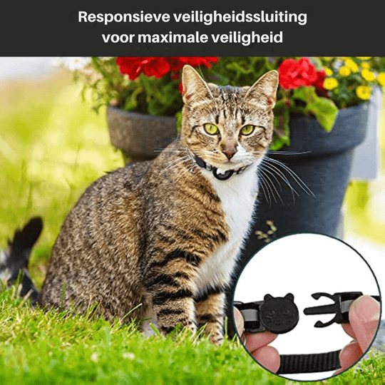 Kissojen GPS-seurantapanta CATSAFE TRACK 5