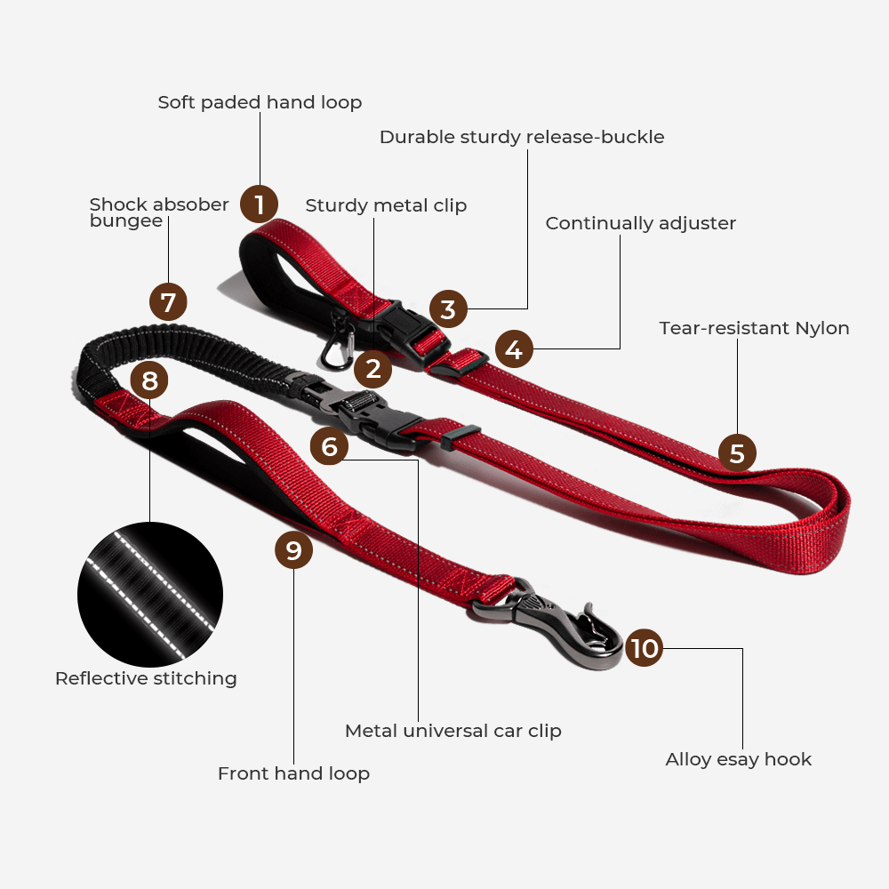 Koiralle Sadetakki Heijastava ja Vedenpitävä Koira Sateelta Suojaava 8