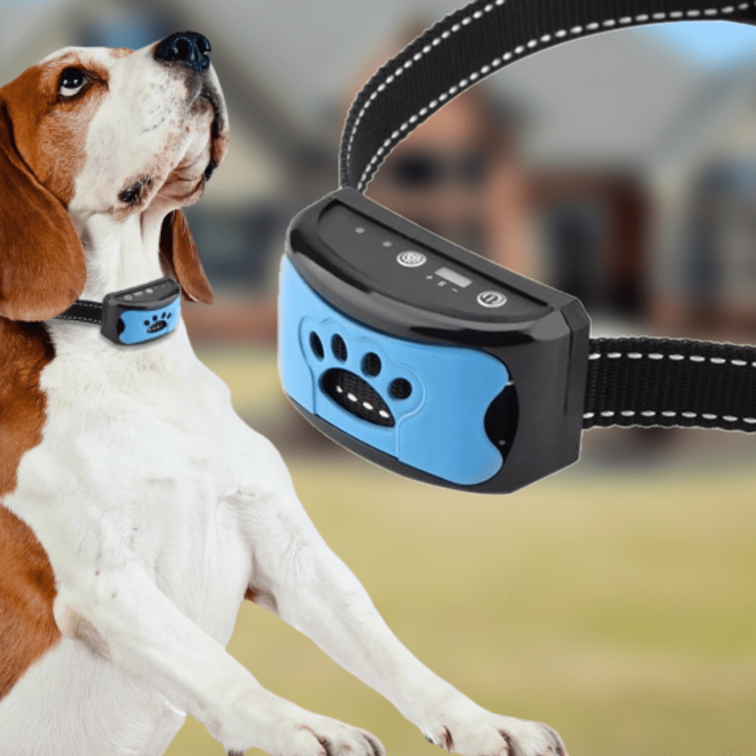Koiran Haukkumisenestopanta Innovatiivisella Teknologialla 6