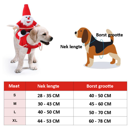 Koiran Joulupuku Juhliin 1