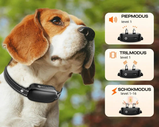 Koiran Koulutuspanta Kaukosäätimellä Vedenpitävä 3