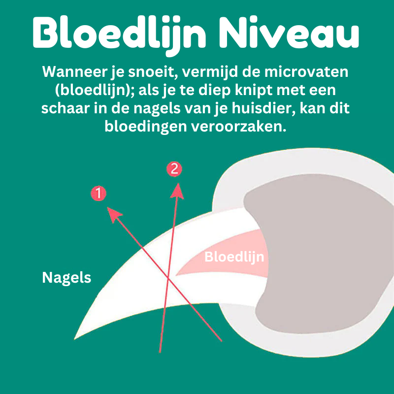 Koiran Kynsileikkuri Innovatiivinen Ergonominen Muotoilu 8