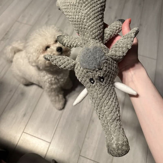 Koiran Leikkilelu Kestävä Purulelu Kaikille Koirille 4