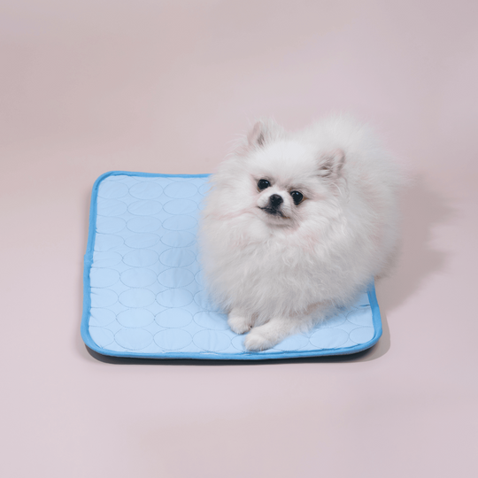 Koirien Jäähdytysmatto Innovatiivisella Muotoilulla 2