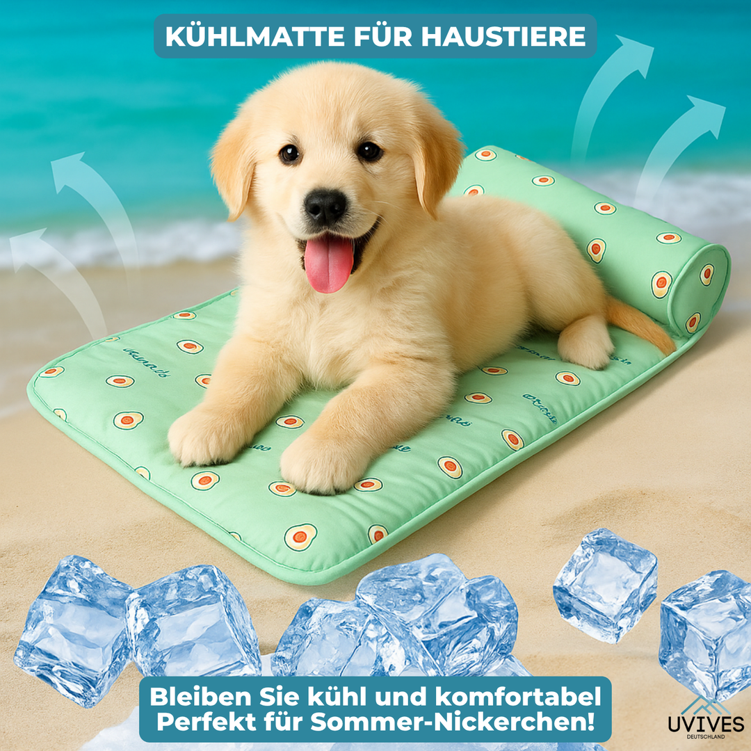 Koirien ja kissojen Jäähdytysmatto Itsejäähdyttävä 4