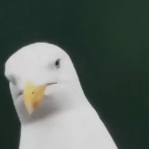 Kompakti Monokulaari 600x Ultra-Zoom 2
