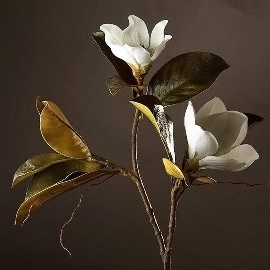 Kukkakoriste Magnolia Kukka Kaunis 0
