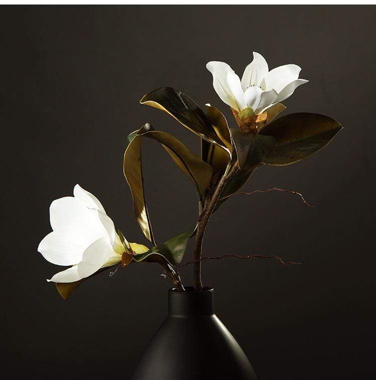 Kukkakoriste Magnolia Kukka Kaunis 2