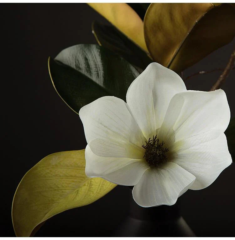 Kukkakoriste Magnolia Kukka Kaunis 3
