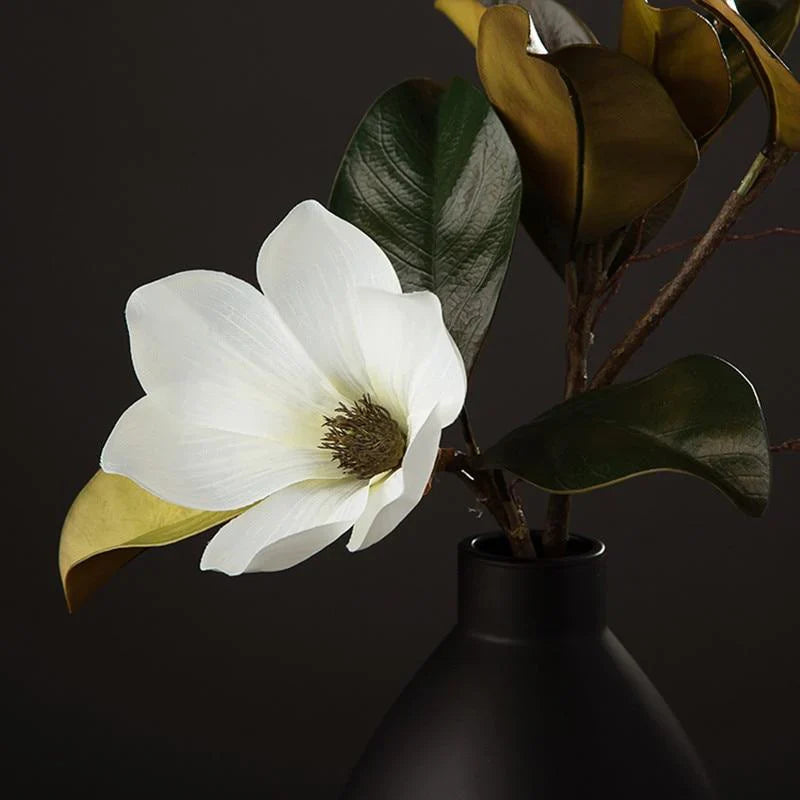 Kukkakoriste Magnolia Kukka Kaunis 4