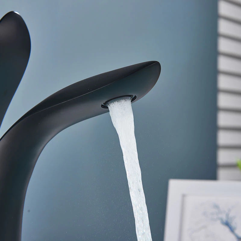 Kylpyhuonehana Moderni Design 4