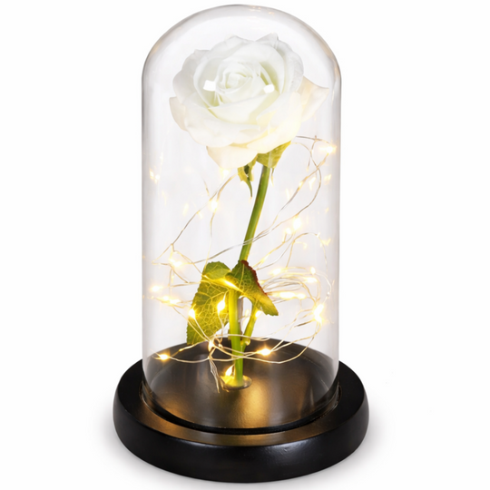 LED-ikuinen ruusu 1