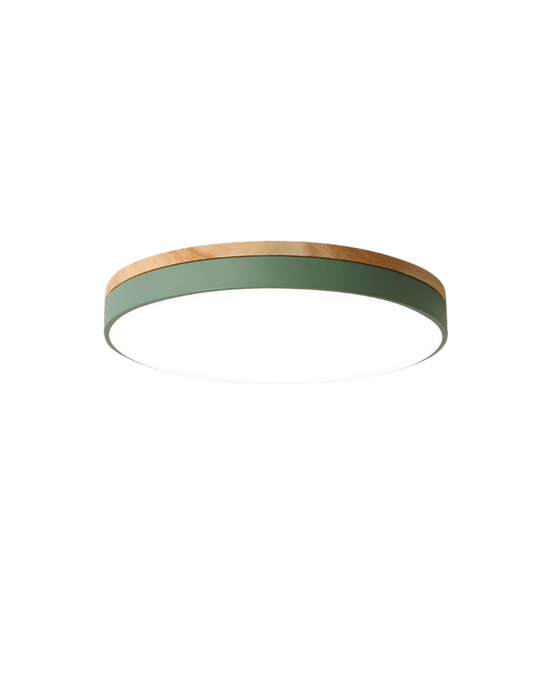 LED-kattovalaisin Luonnonpuu ja Vihreä Korostus 8