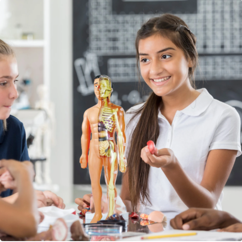 Lasten 3D-anatomiamalli Interaktiivinen Oppimislelu 0