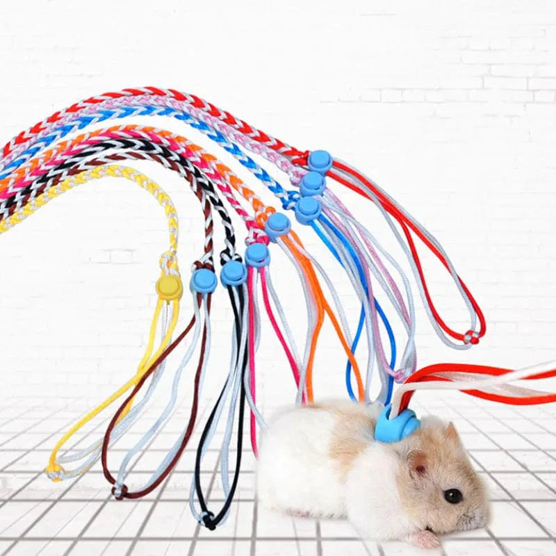 Lemmikkieläinten Talutushihna Hamsterille ja Gerbiilille 0