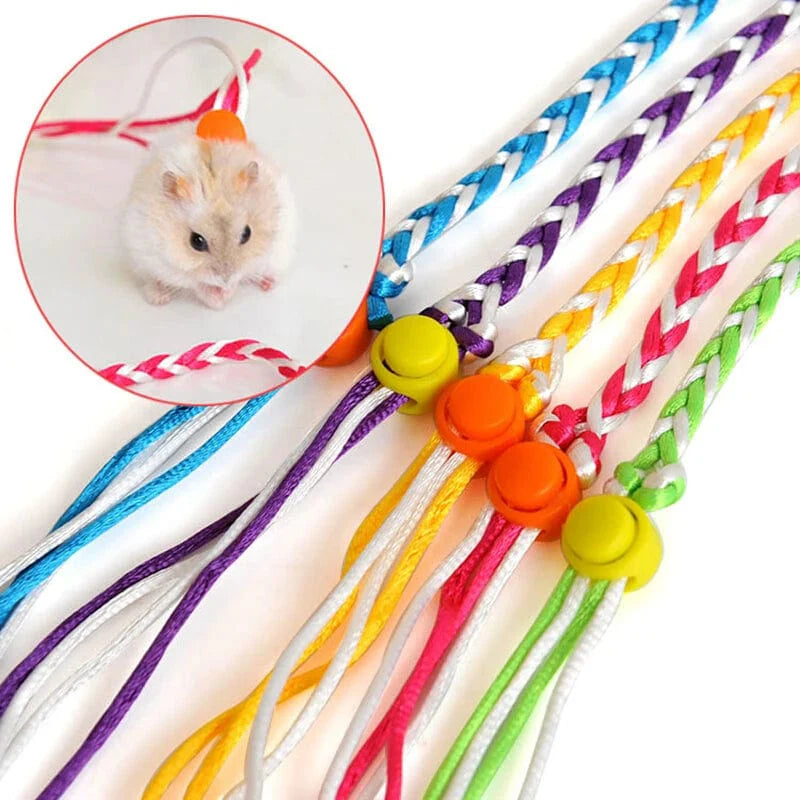 Lemmikkieläinten Talutushihna Hamsterille ja Gerbiilille 1