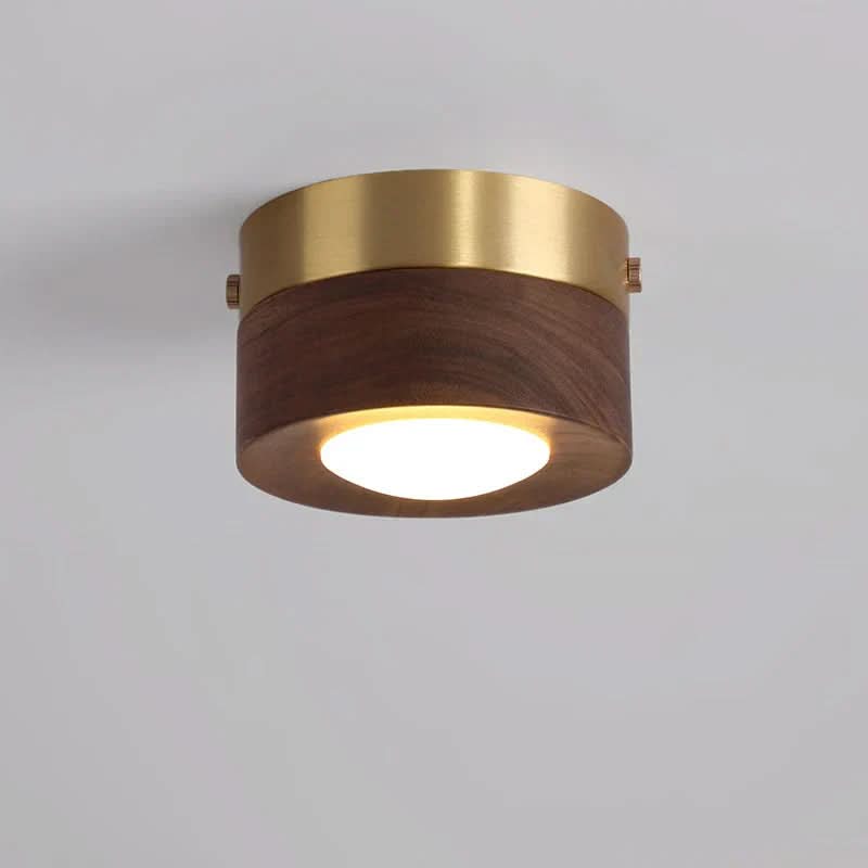 Pähkinä LED Kattovalaisin Moderni Muotoilu 1