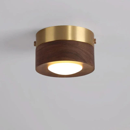 Pähkinä LED Kattovalaisin Moderni Muotoilu 1