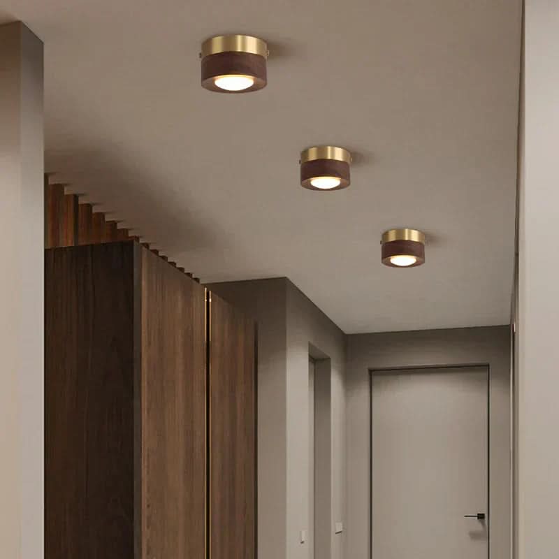 Pähkinä LED Kattovalaisin Moderni Muotoilu 3