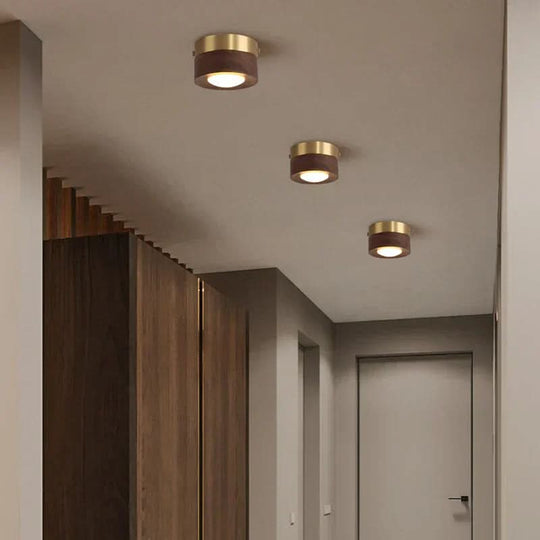 Pähkinä LED Kattovalaisin Moderni Muotoilu 3