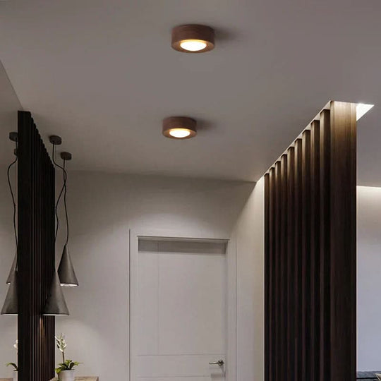 Pähkinä LED Kattovalaisin Moderni Muotoilu 4