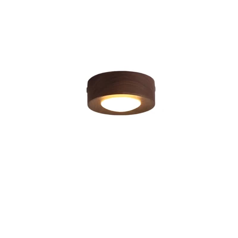 Pähkinä LED Kattovalaisin Moderni Muotoilu 7