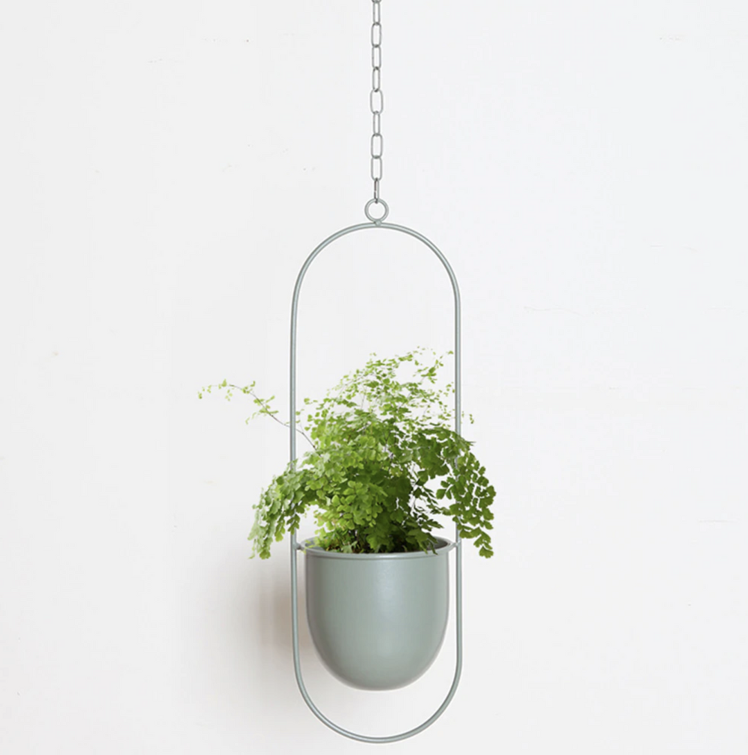 Seinäkasvit Riipus Moderni Minimalistinen 4