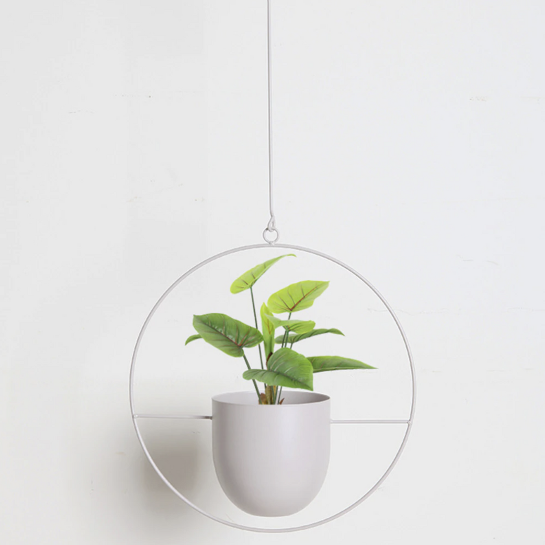 Seinäkasvit Riipus Moderni Minimalistinen 5