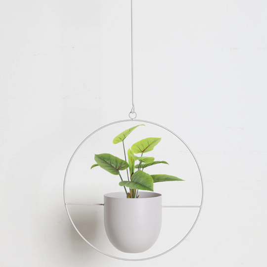 Seinäkasvit Riipus Moderni Minimalistinen 5