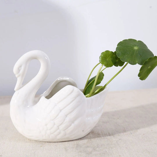 Swan Minimal Keraaminen Ruukku 4