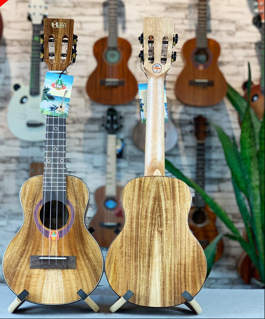 Ukulele 23 tuuman Koa Wood Kompakti Malli 1