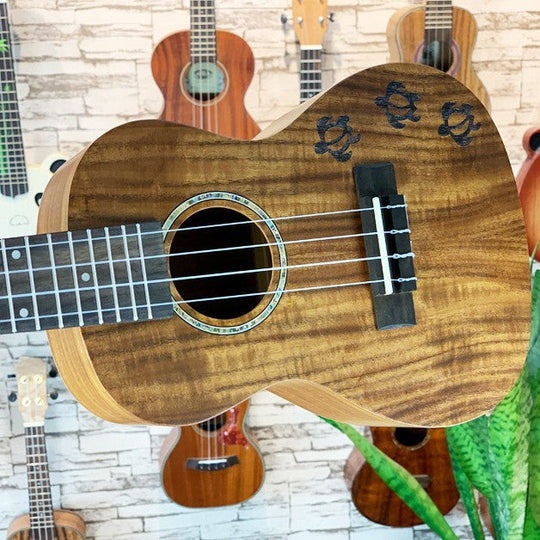Ukulele 23 tuuman eksoottinen Koa-malli 1