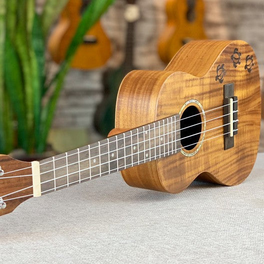 Ukulele 23 tuuman eksoottinen Koa-malli 2