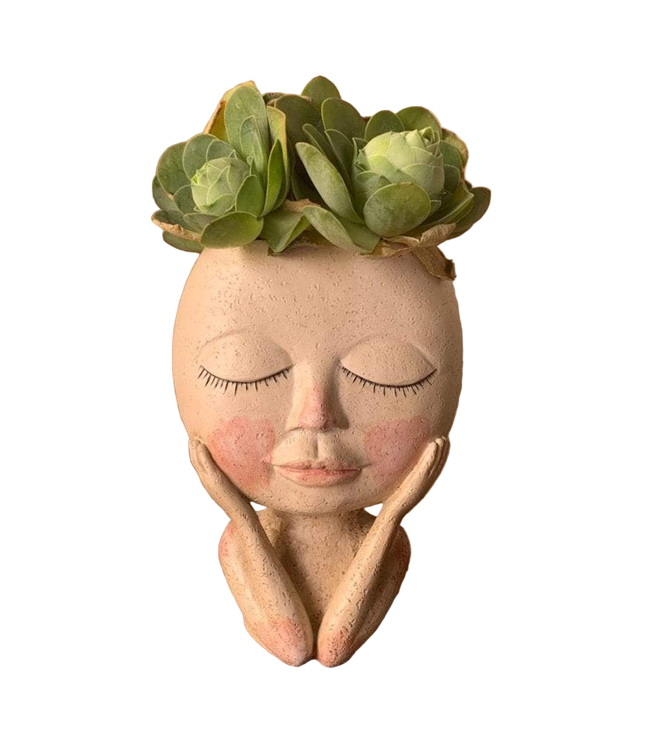 Viehättävä Kasvoruukku Interaktiiviseen Sisustukseen 0