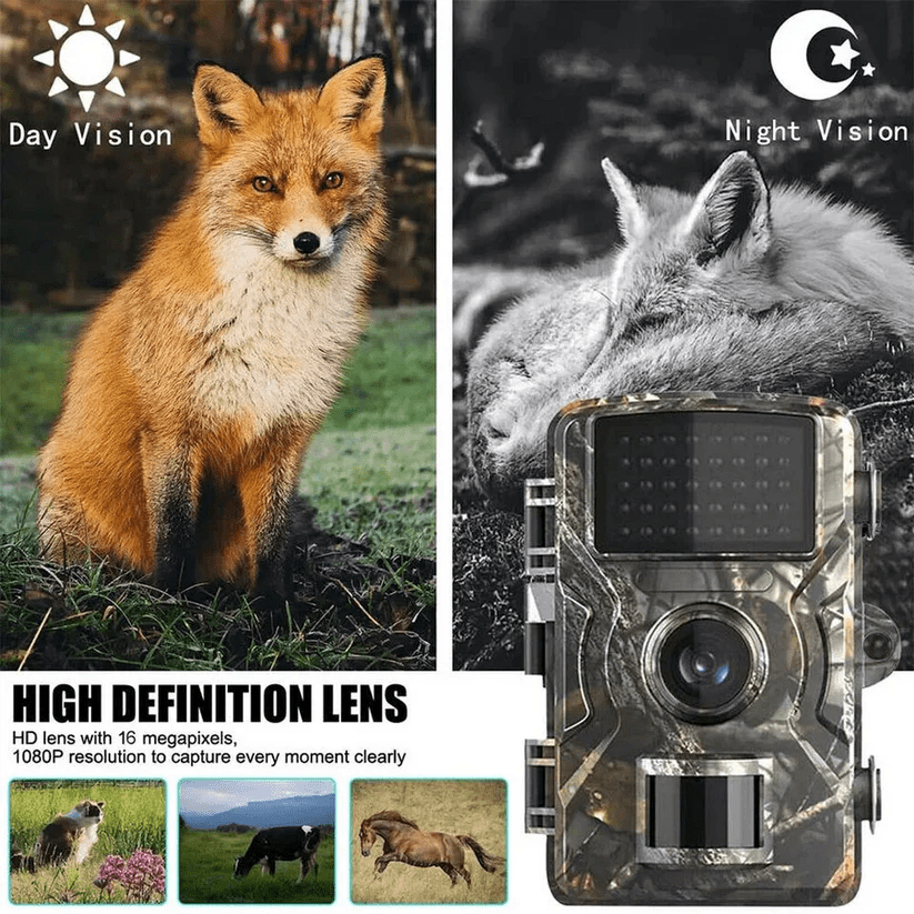 Wildlife Camera 12 MP Night Vision 1