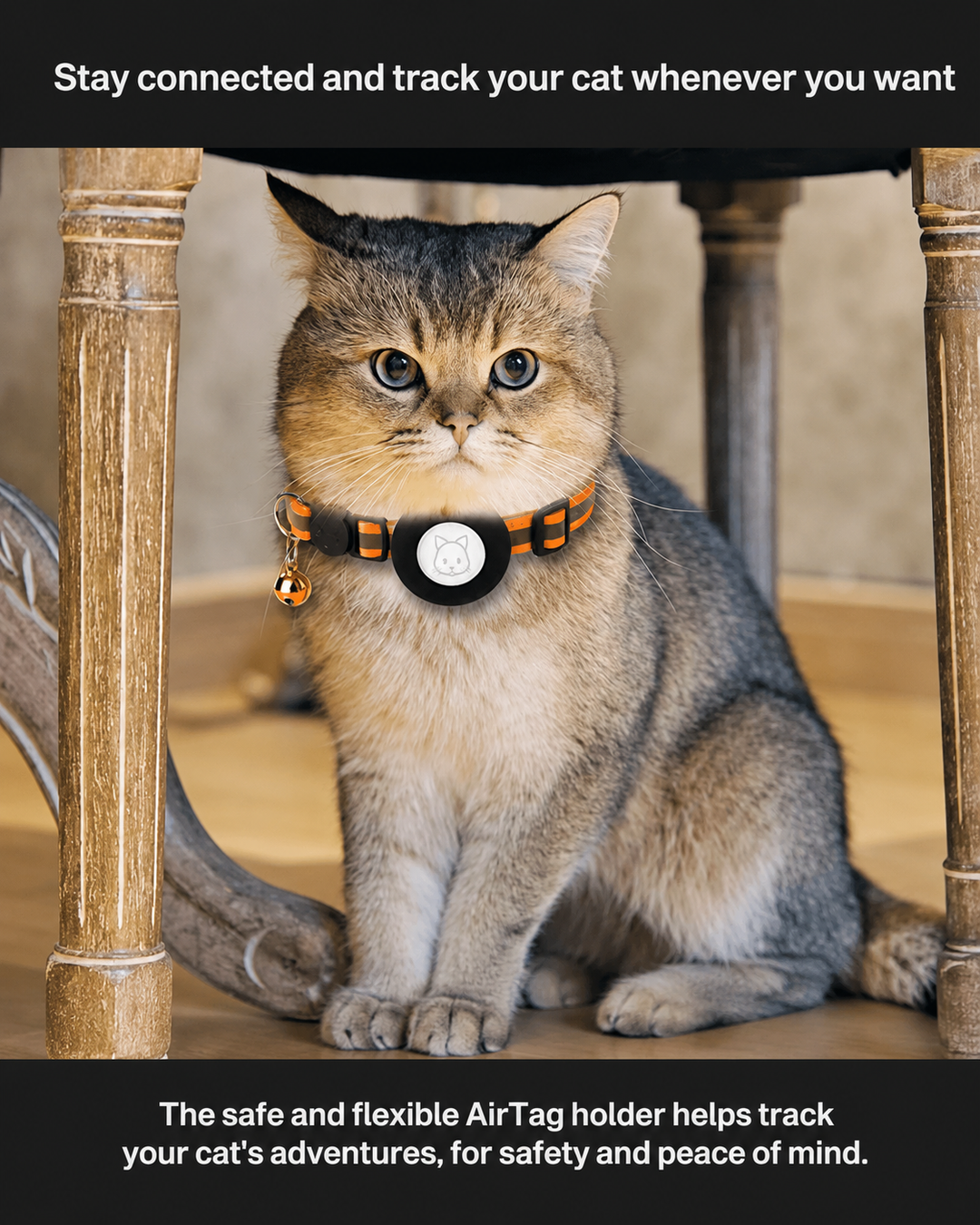 Kissojen Gps-seurantapanta Catsafe Track
