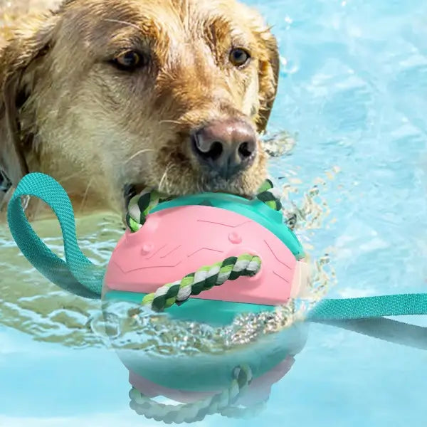 Interaktiivinen frisbee pallo koiran lelu